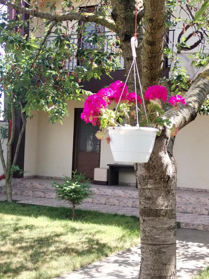 La Babusca Hotel Două Mai Buitenkant foto